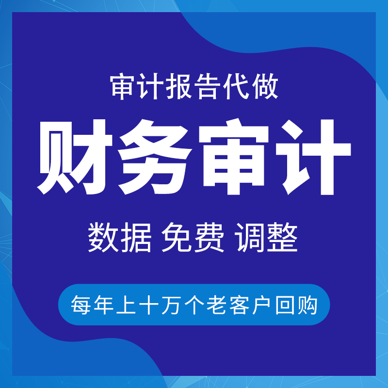 财务审计报告代做投标年度高新专项年检民非验资报告资产评估加急